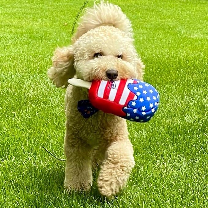 Huxley & Kent for Dogs Star Pop (Large) 4th of July Power Plush Dog Toy with Squeaker