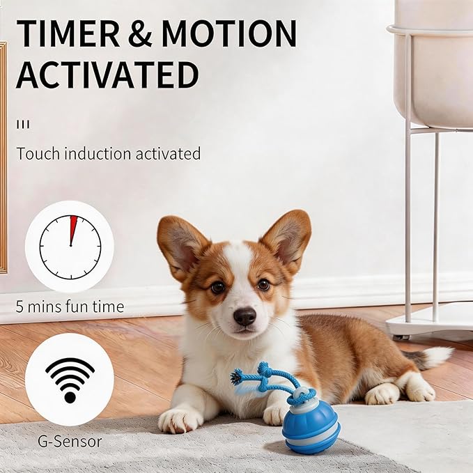 Interactive Dog Toy - Automatic Rolling Ball with Bird Sound, Durable Chew Toy for Small Medium Dogs & Cats, Type-C Rechargeable (Blue)