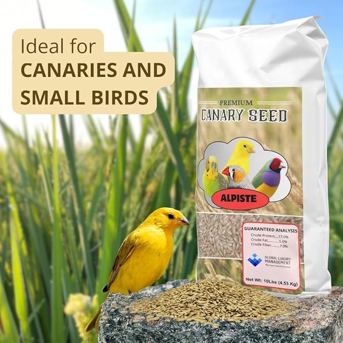 Alpiste Canary Seed 10Lb Bag – Natural Bird Food for Canaries and Small Birds, Finch Food Supports Breeding Growth Digestion Healthy Plumage Bone Strength & Eggshell Formation