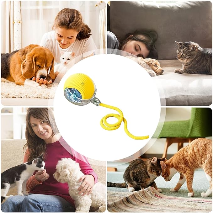 Interactive Rolling Dog Ball, Chewie Viral Rolling Ball, Chewie Ball for Dogs, Interactive Dog Smart Ball Toy, Smart Automatic Rolling Pet Ball for Dog Cat