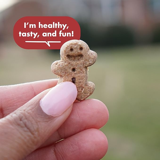 Buddy Biscuits Softies Soft & Chewy Grain Free Dog Treats, Beef, 5 oz. Pouch