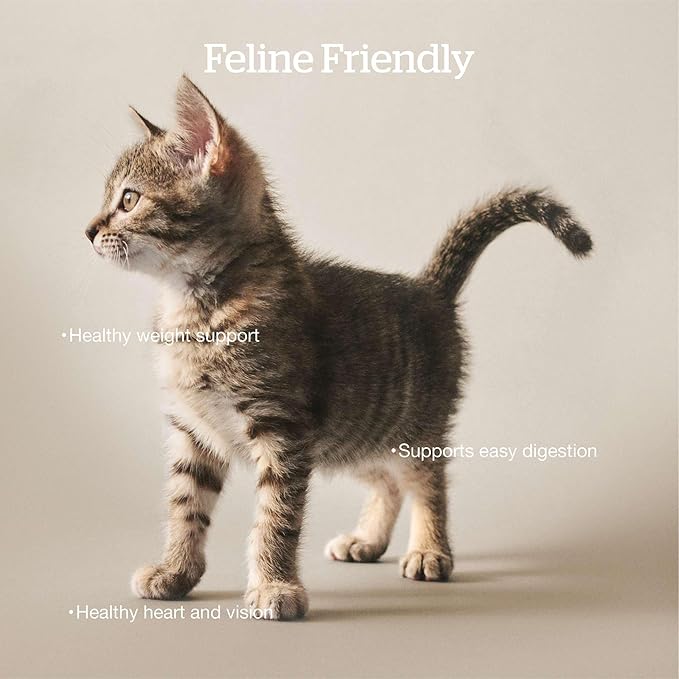 Now Fresh Adult Dry Cat Food, Turkey, Salmon & Duck Recipe, Grain-Free, Chicken-Free, 8 lbs