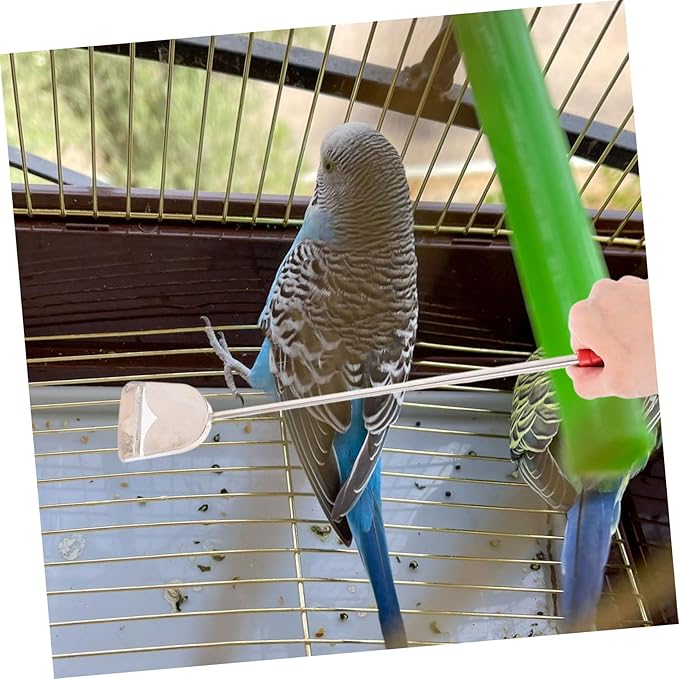 2pcs Birdcage Cleaning Brush Set for Parrot Cage Accessories Small Bird Feeder Cleaner Chicken Grooming Supplies