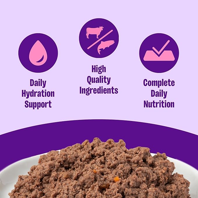 Wellness Complete Health Pate Adult Canned Wet Cat Food, Natural, Protein Rich, Grain Free, Beef and Salmon Entrée Recipe, 3 oz, Pack of 24 Cans