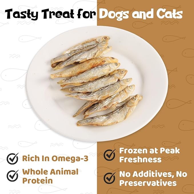 Minnows - Freeze Dried Minnows for Dogs & Cats, 100% Natural Single Ingredient Training Treats, Premium High Protein Snacks, Grain Free (8 oz)
