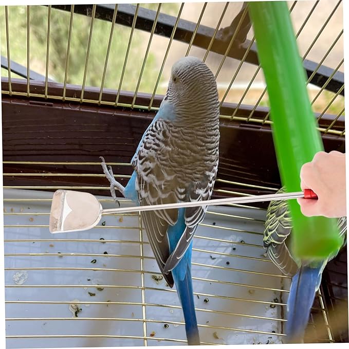 2pcs Bird Cage Cleaning Brush Droppings Cleaner Brush Kit Small Pet Cage Accessories for Bird Supplies Cleaning Tools