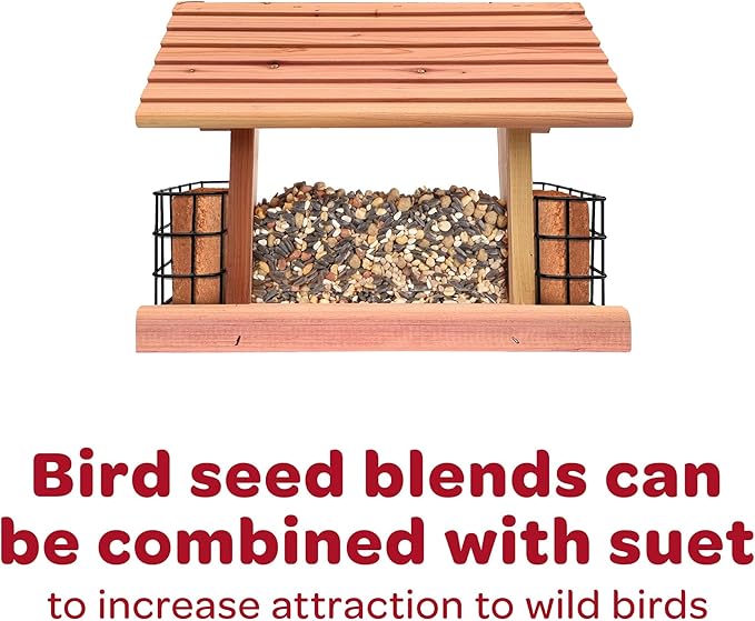 Kaytee Wild Bird Finch Food Blend, 5 lb (Pack of 2)