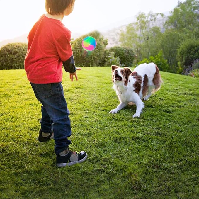 2 pcs Large Light Up Dog Balls Flashing Elastic Ball Bouncy Glow in The Dark Interactive Jumping Blinking Dog Ball Pet Toys for Golden Retriever,Labrador,Large Dogs