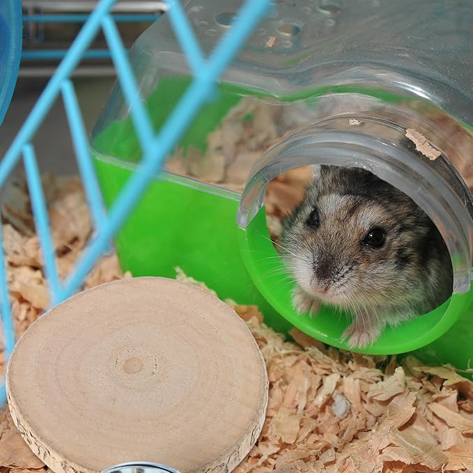 Toyvian Bird Cage Perch Stand Toy for Squirrel Chinchilla Parrot Hamster Detachable Branches Multifunctional Platform for Exercise Play