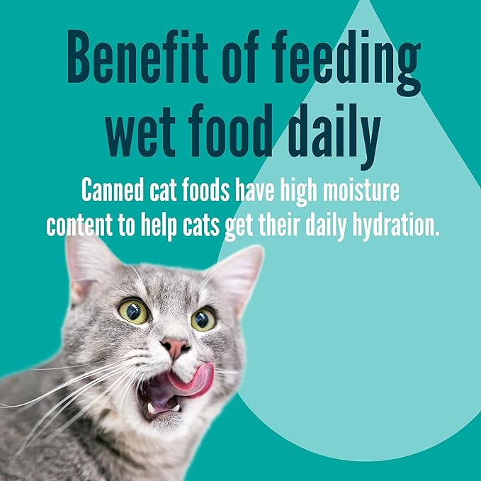 A Strong Heart Split Cup Wet Cat Food, Whitefish & Tuna Entree - 2.6 oz Split Cups, 20 Servings (Pack of 10), Made in The USA with Real Whitefish & Tuna