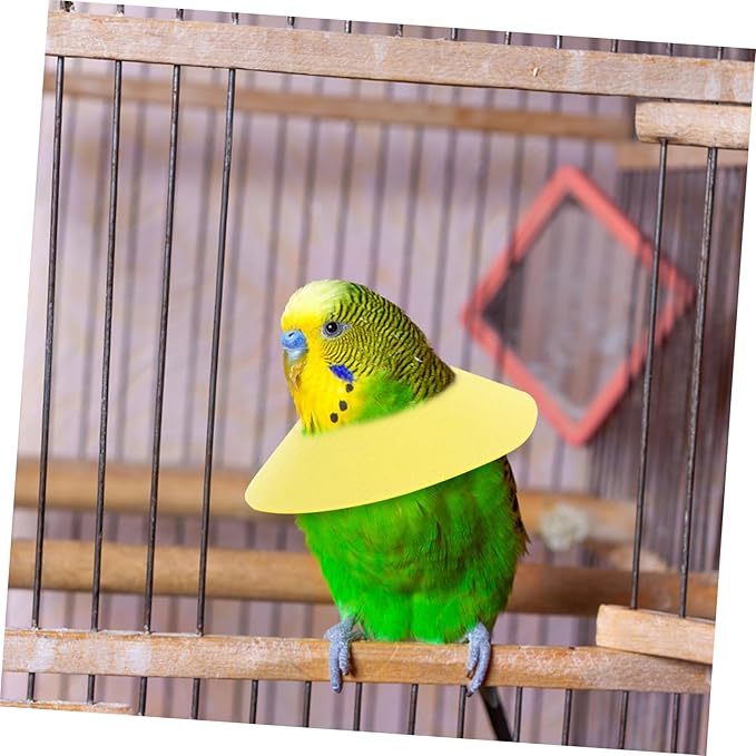 ORFOFE Parrot Neck Collar Protective Accessory for Recovery and Comfortable for Preventing Pecking and Injury Design for Birds