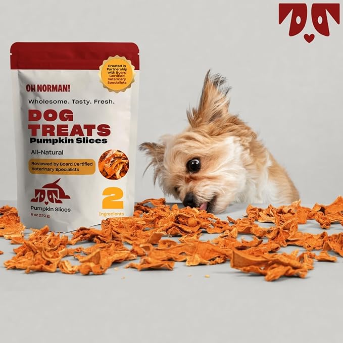 OH NORMAN! Two-Ingredient Pumpkin Dog Treats by Kaley Cuoco, Healthy Dog Treats for All Life Stages and Breeds, Air Dried, Ethically Sourced in Canada, 6 Oz