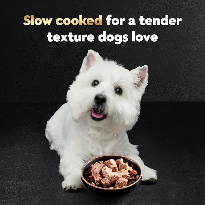 Cesar Loaf & Topper in Sauce Wet Dog Food, Rotisserie Chicken Flavor with Bacon & Cheese, Wet Food for Dogs, 3.5 oz Easy Peel Trays, 24 Count (Pack of 2)