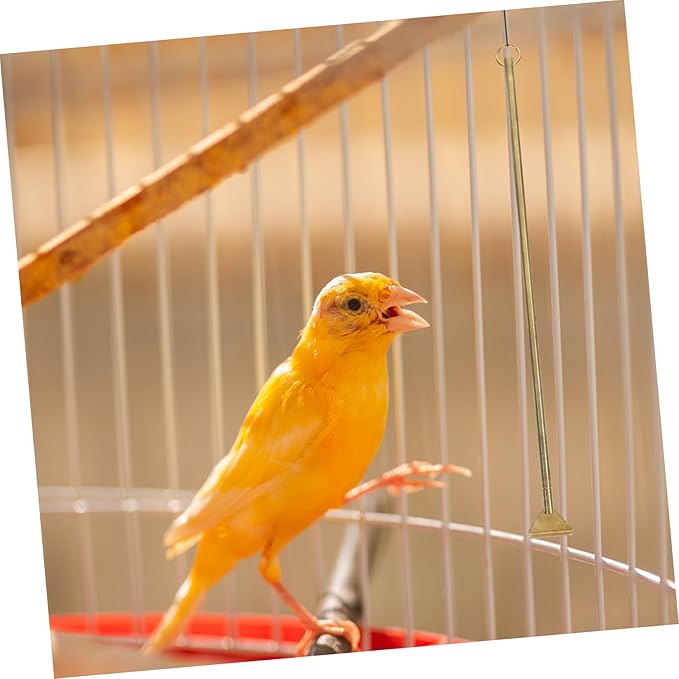 Abaodam Bird Cage Cleaner Tool Long Handle Guano Cleaning Tool for Easy Bird Poop Removal Material for Bird Cage Maintenance