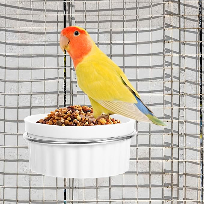 Parrot Food and Water Bowl for Bird Cage Stainless Steel Small Bird Cage Bowl with Hanging Hook Accessory for Parakeets and Cockatiels