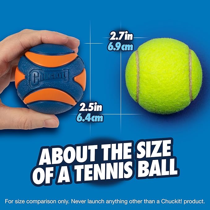 Chuckit! Ultra Squeaker Balls for Dogs, Floating Water Pet Toys, Durable Rubber Pet Toy, Bouncy Squeaky Fetch Balls for Dogs, Pack of 24, Medium (2.5")