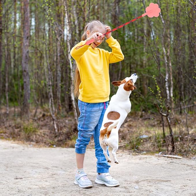 2Pcs Durable Paw Shape Rubber Dog Training Training Tool No Hurt Puppy Random Color Small Size