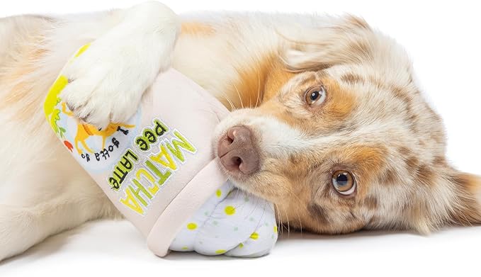 Huxley & Kent for Dogs - Matcha Pee Latte (Small) - Funny Durable Power Plush Dog Toy with Squeaker - Dog Gift
