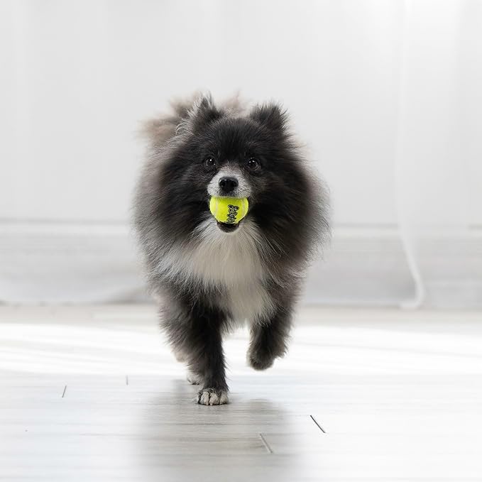 KONG - Squeakair Ball - Dog Toy Premium Squeak Tennis Ball, Gentle on Teeth (X-Small (6 Pack))