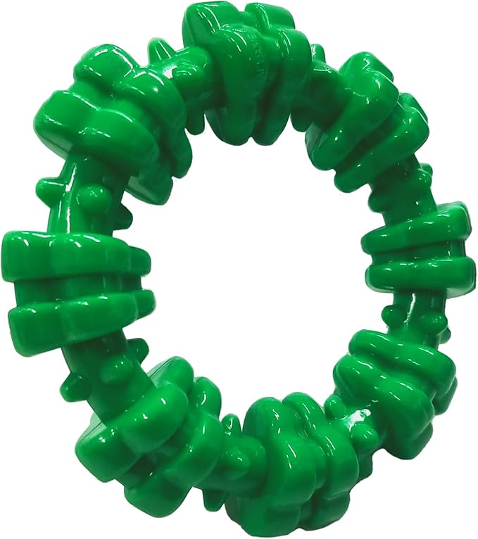 Nylabone Textured Ring Power Chew Toy for Dogs, Dog Toys for Aggressive Chewers, Winter Green Flavor, Small - Up to 25 lbs, 1 Count (Pack of 2)