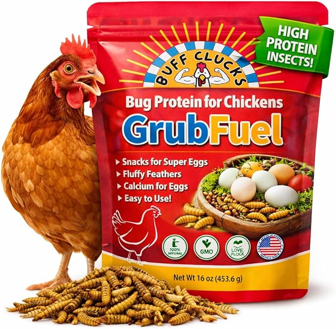 Buff Clucks Grub Fuel Black Soldier Fly Larvae for Chickens - Nutrient-Packed BSFL, Sustainably Sourced Snack for Poultry, Rich in Protein, Calcium, Fiber, Essential Fatty Acids, USA Grown (1LB)