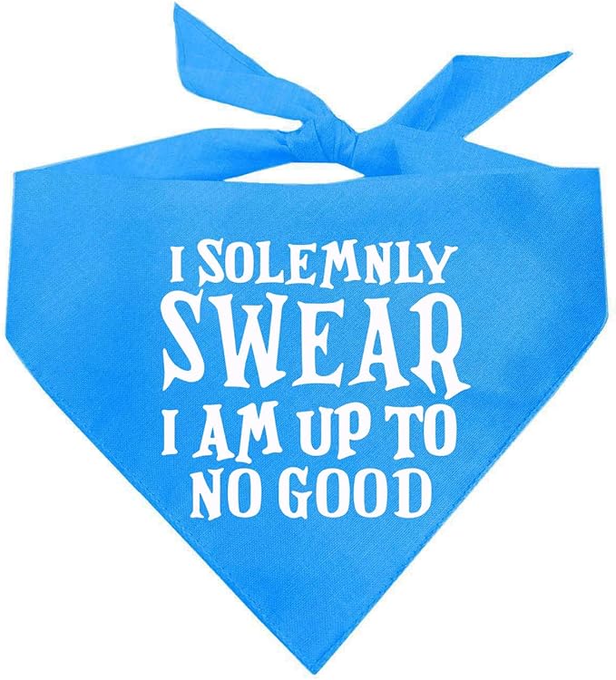 I Solemnly Swear I Am Up to No Good Dog Bandana (Turquoise, XS 1101)
