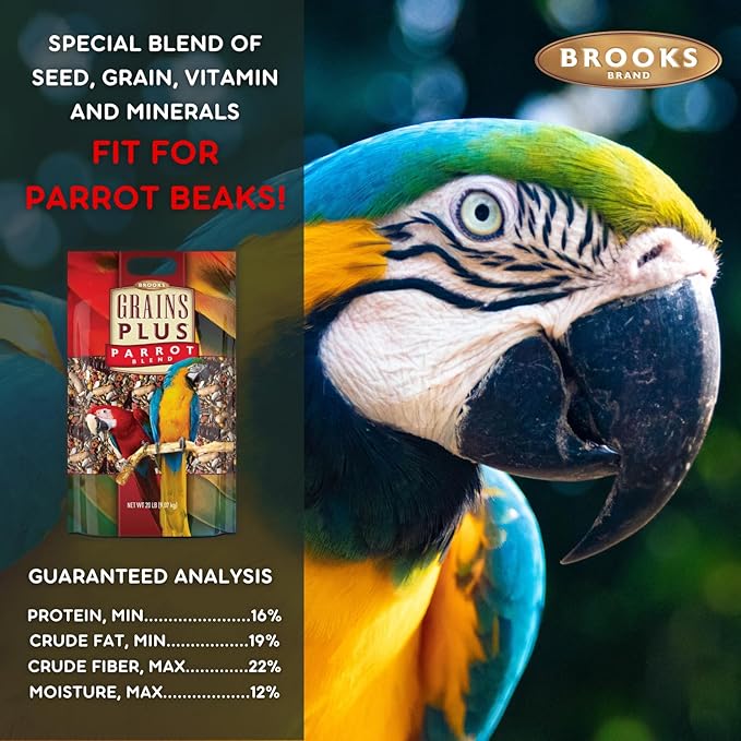 Brooks Brand Grains Plus Parrot Blend, Bird Food Parrot Seed Mix, African Grey Food, Eclectus, Indian Ringneck, Quaker