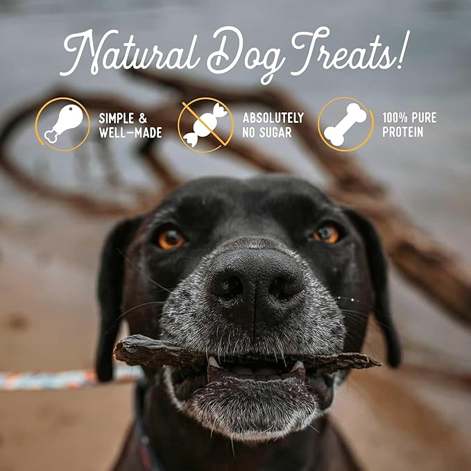Beg & Barker Beef Liver Jerky for Dogs (4 Ounce, Pack of 2) - Dog Training Treats - Natural Dog Treats Made in The USA - Grain Free, Diabetic-Friendly, High Protein, Sugar-Free
