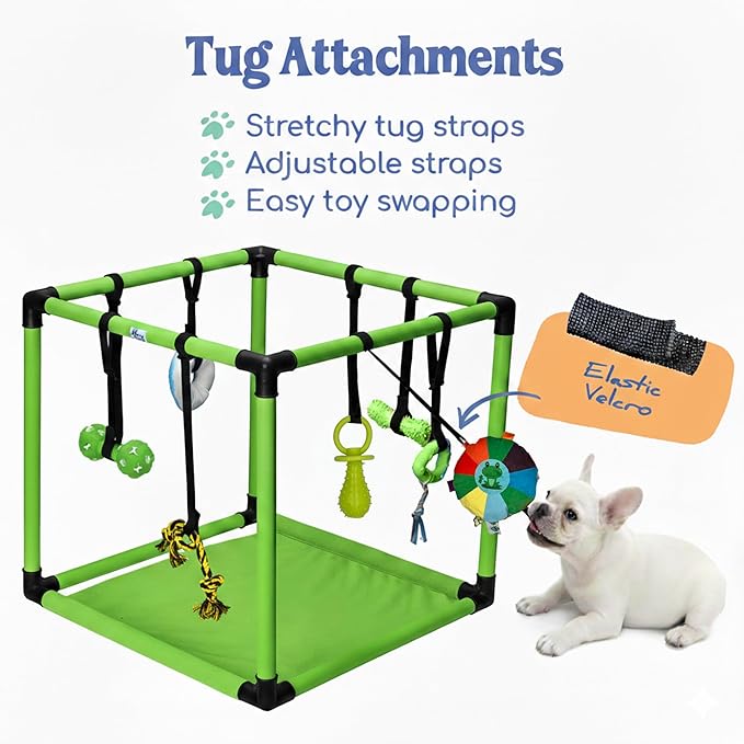 Race&Herd Puppy Play Gym, Dog Play Mat, 8 Bungee Straps Interactive Puppy Active Toys - Small Dog Jungle Gym 19.5" Frame with Playground Set Indoor Enrichment Activity Center (Green)