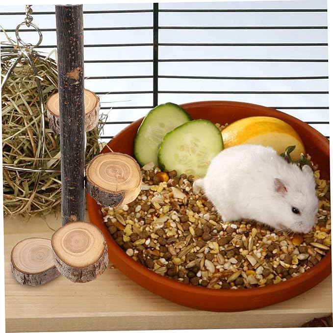 LIOOBO Hanging Wooden Rotating Platform for Hamsters Chinchillas and Birds Bird Perch with Stable Design for Easy Installation and Fun Playtime