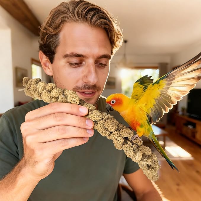 ERKOON 3.5LB Spray Millet Treat, All Natural Sun-Dried Healthy Treat Parrot Food Bird Snack for Parakeets, Lovebirds, Cockatiels, Finches, Budgies, Canaries Hamster, Bird Food Bulk