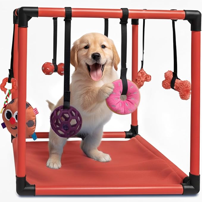 Race&Herd Puppy Play Gym, Dog Play Mat, 8 Bungee Straps Interactive Puppy Active Toys - Small Dog Jungle Gym 19.5" Frame with Playground Set Indoor Enrichment Activity Center (Red)