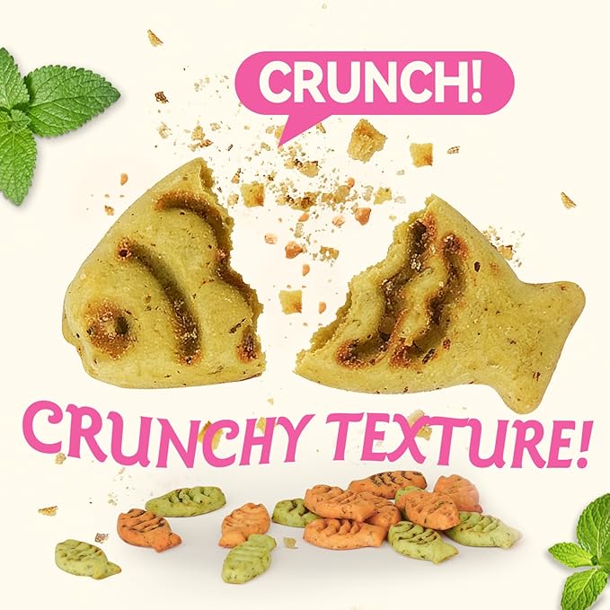 Catnip Cat Treats, Chicken & Salmon Flavor Crunchy Cat Biscuits, Fish-Shaped Training Snacks for Adult Cats, 8 oz