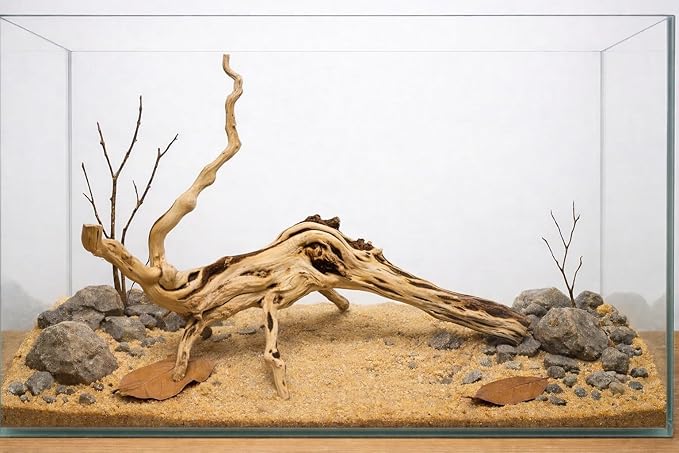 Azil spiderwood Natural Aquarium