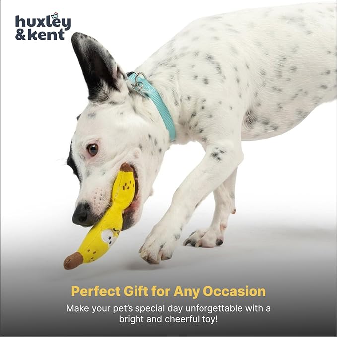 Huxley & Kent Funny Dog Toy w/Squeaker – Power Plush Squeaky Dog Toys for Small Dogs – Durable Small Stuffed Animal for Indoor Play & Fetch - Tiny Tuff Bruiser Banana