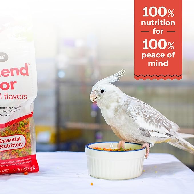 ZuPreem FruitBlend Flavors Bird Food for Medium Birds, 35 LBS
