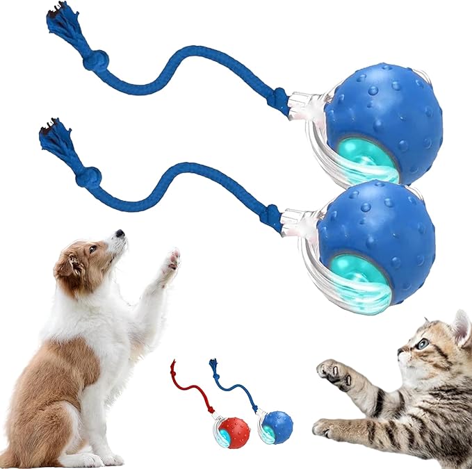 2026 New Dog Toy, Interactive Fast Moving Toys Balls with Birdsong, 360° Smart Automatic Rolling Electric Dog Ball Toy with Rope for Dogs and Cat Indoor Play (Blue*2)