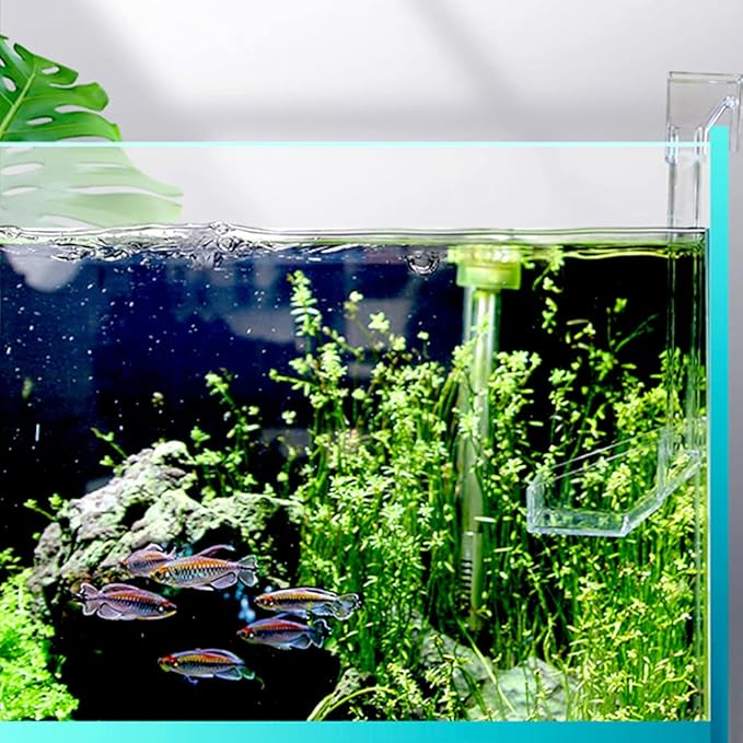Sky Restaurant Aquarium Fish Feeder - Prevent Food Spilling, Easy to Clean, Betta & Dwarf Frogs Feeding(S)