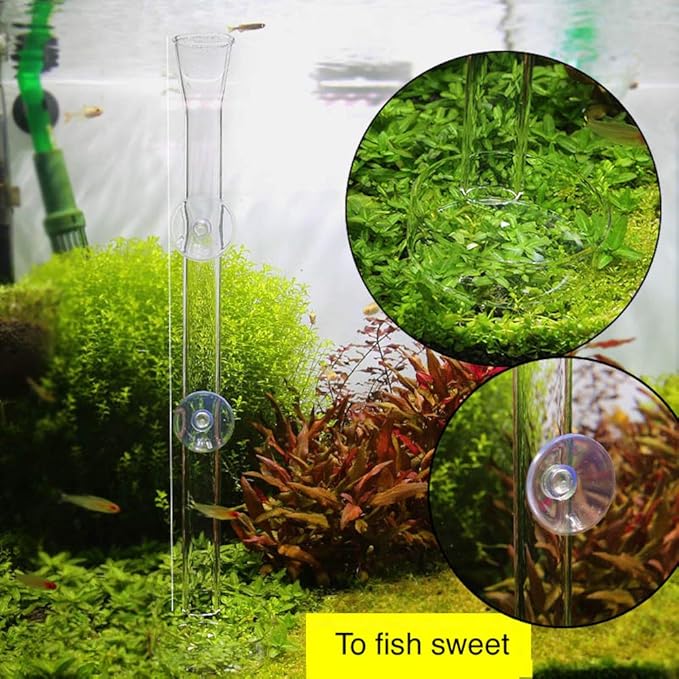 Aquarium Shrimp Feeding Tube and Dish, Clear Crystal Glass Fish Tank Shrimp Feeder Tube Tray