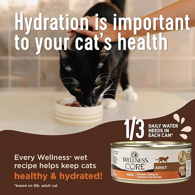 Wellness CORE Pate Adult Canned Wet Cat Food, Natural, Protein Rich, Grain Free, Turkey and Duck Recipe, 3 oz, Pack of 12 Cans