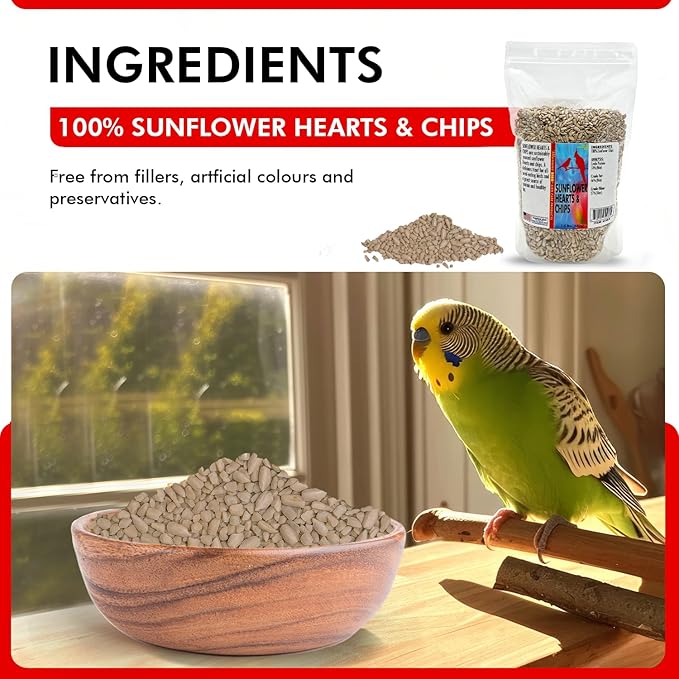 Morning Bird Sunflower Hearts & Chips 1.5 lbs – Premium Bird Seed with High Protein & Healthy Fat - Shelled Sunflower Hearts for Birds - Mess Free, Easy to Feed, Delicious Snack