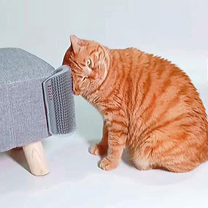 Miwoowim Extended (6.1") 2 Pack Self Grooming Cat Brush - Wall Corner Scratcher with Massage Combs for Long and Short Fur Cats, Kittens (Grey)