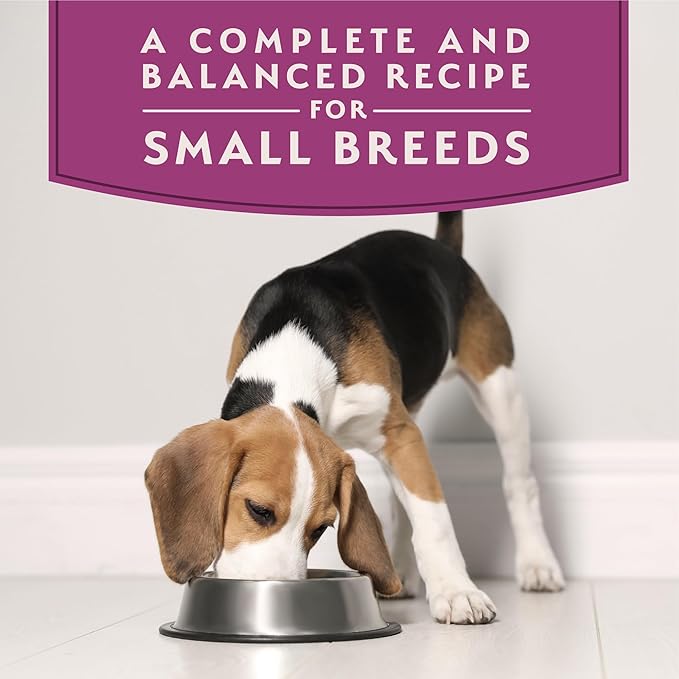 Natural Balance Limited Ingredient Small Breed Adult Wet Dog Food, Sweet Potato & Salmon Recipe for Sensitive Stomachs - 3.5oz Cups (Case of 12)