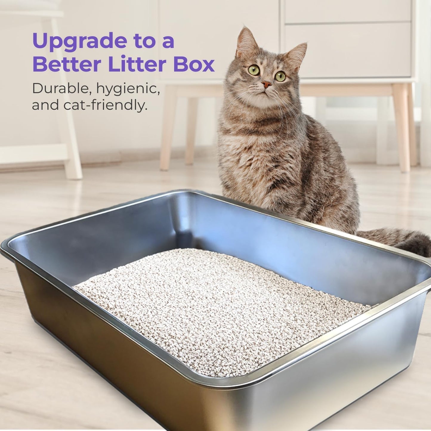 iPrimio Ultimate Stainless Steel XL Cat Litter Box - XL Litter Box for Big Cats - Large Cat Litter Box - Never Absorbs Odor, Stains, or Rusts - Easy Cleaning Litterbox Designed by Cat Owners (1 Pan)