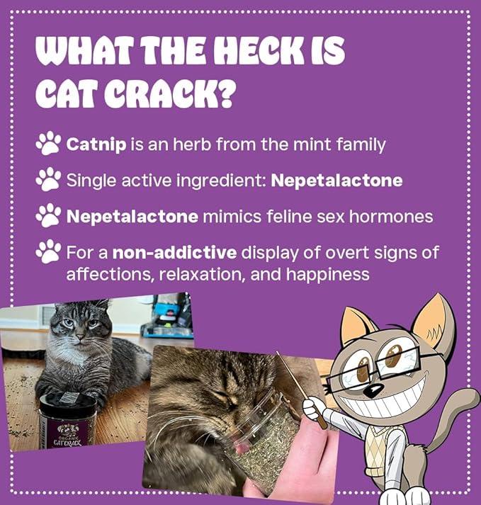 Cat Crack Organic Catnip, 100% Natural Cat Nips Organic Blend that Energizes and Excites Cats, Used for Cat Play, Training, & New Catnip Toys (4 Cups)