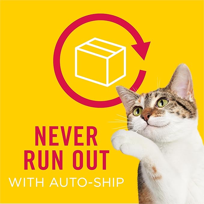 Friskies Purina Shreds Chicken and Salmon Dinner in Wet Cat Food Gravy - 5.5 oz. Cans (Pack of 48)