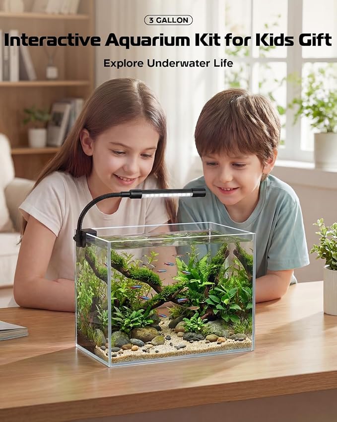 Glass Fish Tank Kit, 3 Gallon Betta Fish Tank Aquarium Starter Kit with Filter, Lights, Lid, for Betta, Goldfish, Small Fish or shrimg，Clear