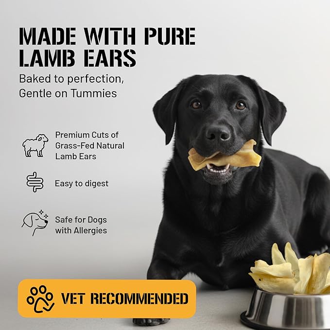 Dog Chits Lamb Ears for Dogs – 100% Natural Baked Lamb Ear Dog Treats – Grain-Free, High Protein, Lower Fat Training Chews – Dental Health & Joint Support – for Large, Medium Dogs – 15 Pack