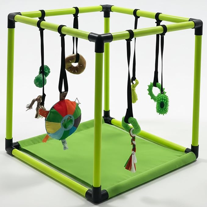 Race&Herd Puppy Play Gym, Dog Play Mat, 8 Bungee Straps Interactive Puppy Active Toys - Small Dog Jungle Gym 19.5" Frame with Playground Set Indoor Enrichment Activity Center (Green)