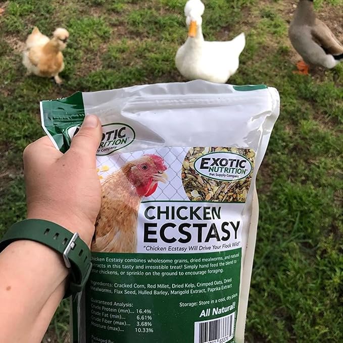 Exotic Nutrition Chicken Ecstasy (8.5 lb) - Healthy All-Natural Backyard Chicken Feed - Grains, Dried Mealworms & Natural Extracts - Promotes Healthy Chickens & Eggs